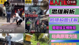 东方糖糖妹抖音短视频全套实战课思维+拍摄+剪辑+运营，从入门到精通网赚项目-副业赚钱-互联网创业-资源整合行知网