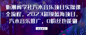 听潮阁学社汽水音乐项目实操课全流程，2023超级蓝海项目，汽水音乐推广，0粉丝也能做！网赚项目-副业赚钱-互联网创业-资源整合行知网