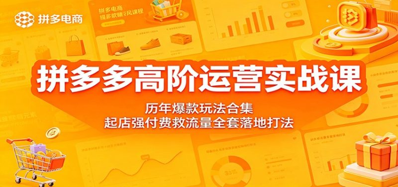拼多多高阶运营实战课：历年爆款玩法合集，起店强付费救流量全套落地打法网赚项目-副业赚钱-互联网创业-资源整合行知网
